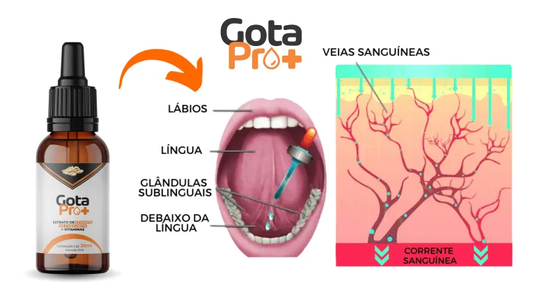 Gota Pro Mais, fórmula avançada para proteger a próstata, melhorar o fluxo urinário e garantir mais qualidade de vida